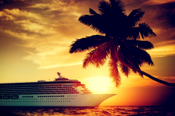 A cruise ship and a palm tree during golden hour