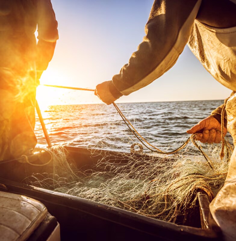 workers-harnessing-ropes-by-sea