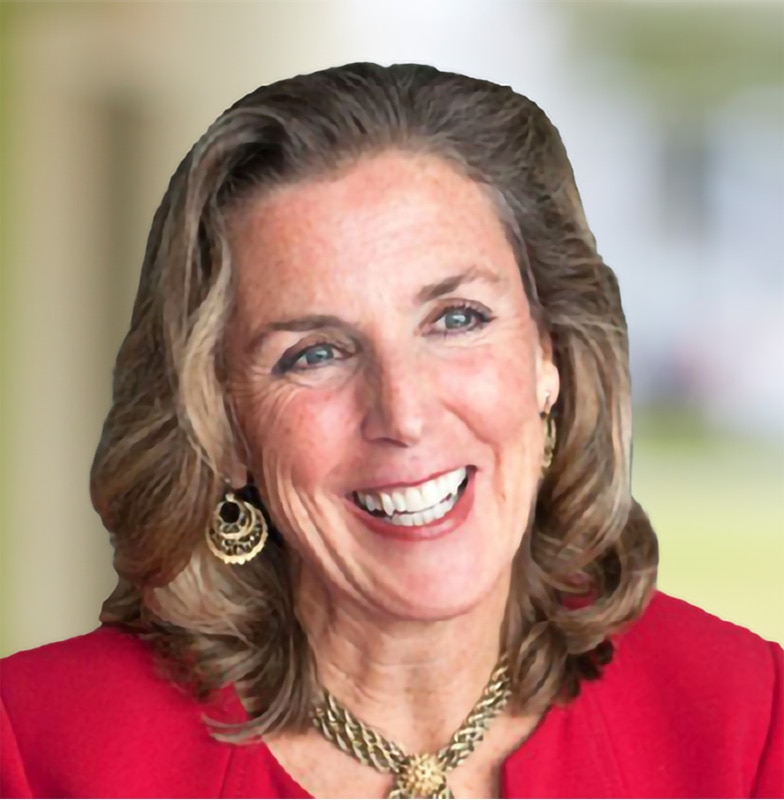 Katie McGinty, vice president and chief sustainability and external relations officer, Johnson Controls
