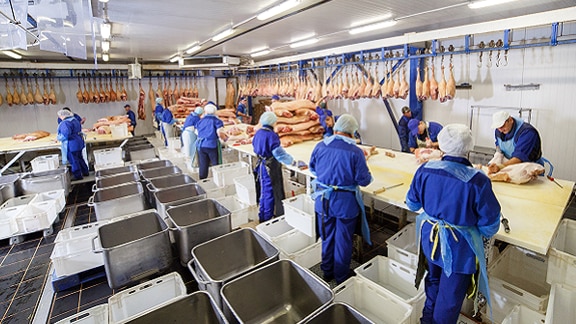 A series of butchers cleaning meat in a slaughterhouse