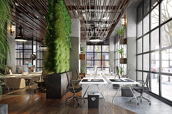 Interior of an empty office space, amply decorated with plants